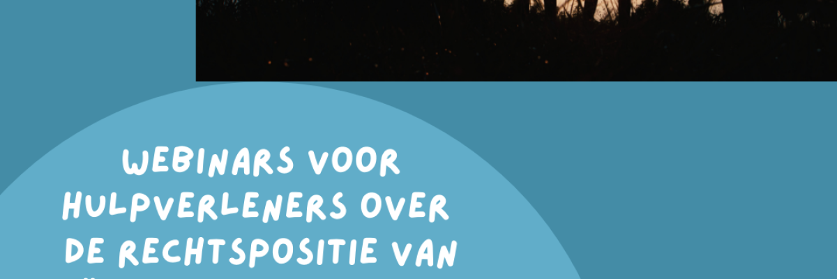 Afbeelding met een korte samenvatting van de data met thema's van de webinars